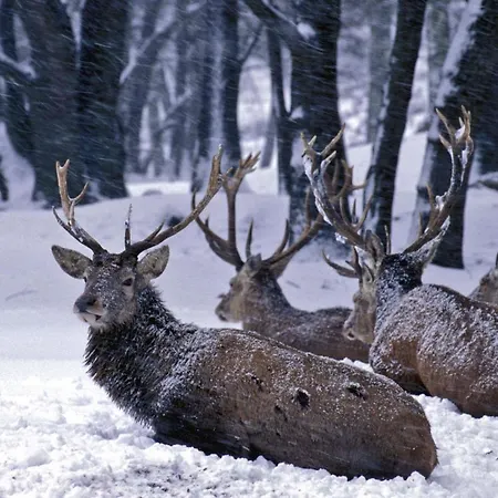 Mitten In Mit Tollem Ausblick *