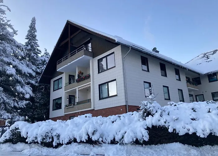 Mitten In Mit Tollem Ausblick 布劳恩拉格