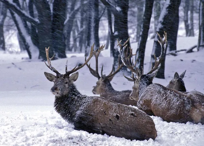 Mitten In Mit Tollem Ausblick *